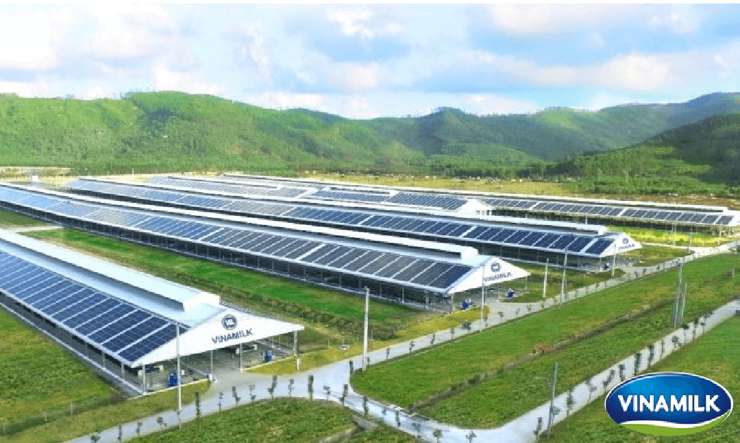 HỆ THỐNG ĐO ĐẾM QUẢN LÝ NĂNG LƯỢNG CHO TRANG TRẠI BÒ SỮA VINAMILK